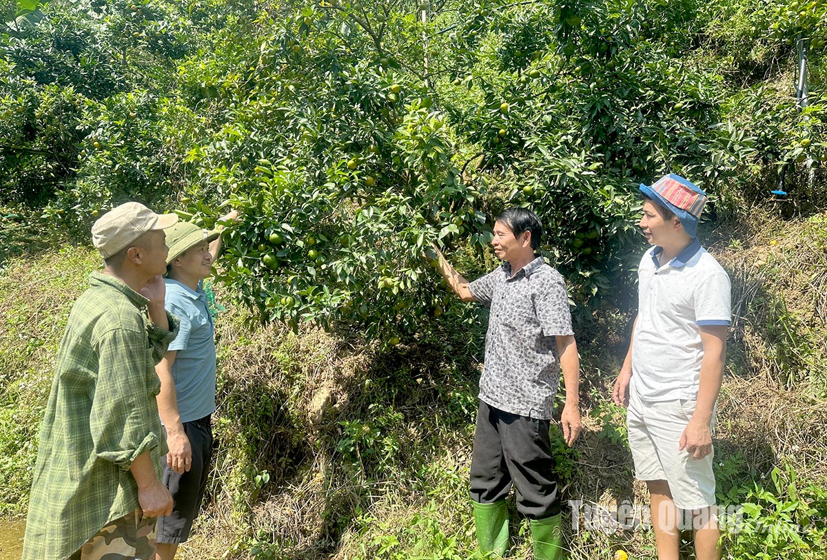 Lão nông và trang trại thông minh